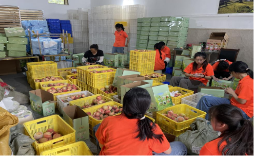 �������Ա�Ͷ�ʵ���ֳ�