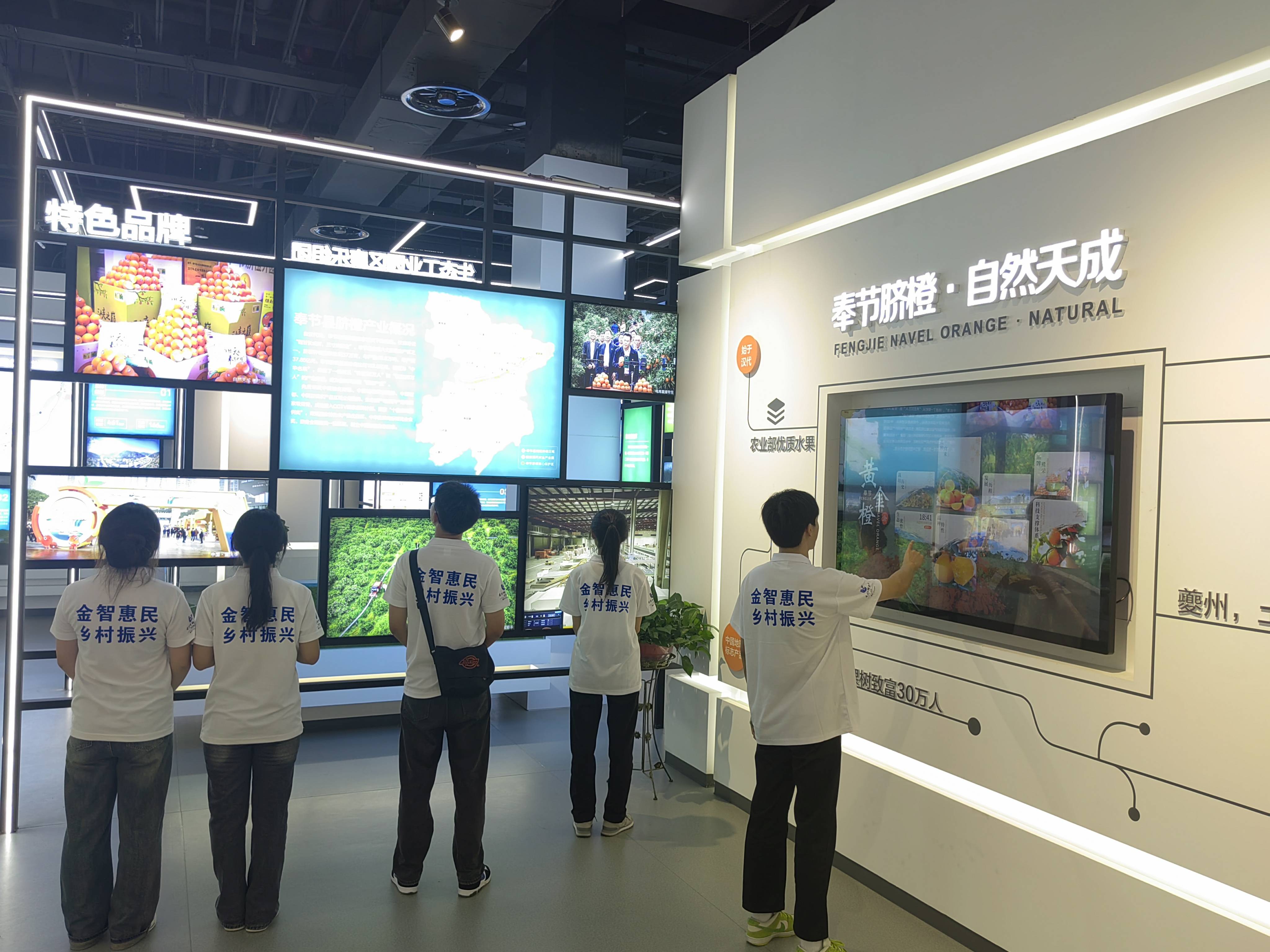 �ع˺�����ʷ���ģ�չ������δ����չ