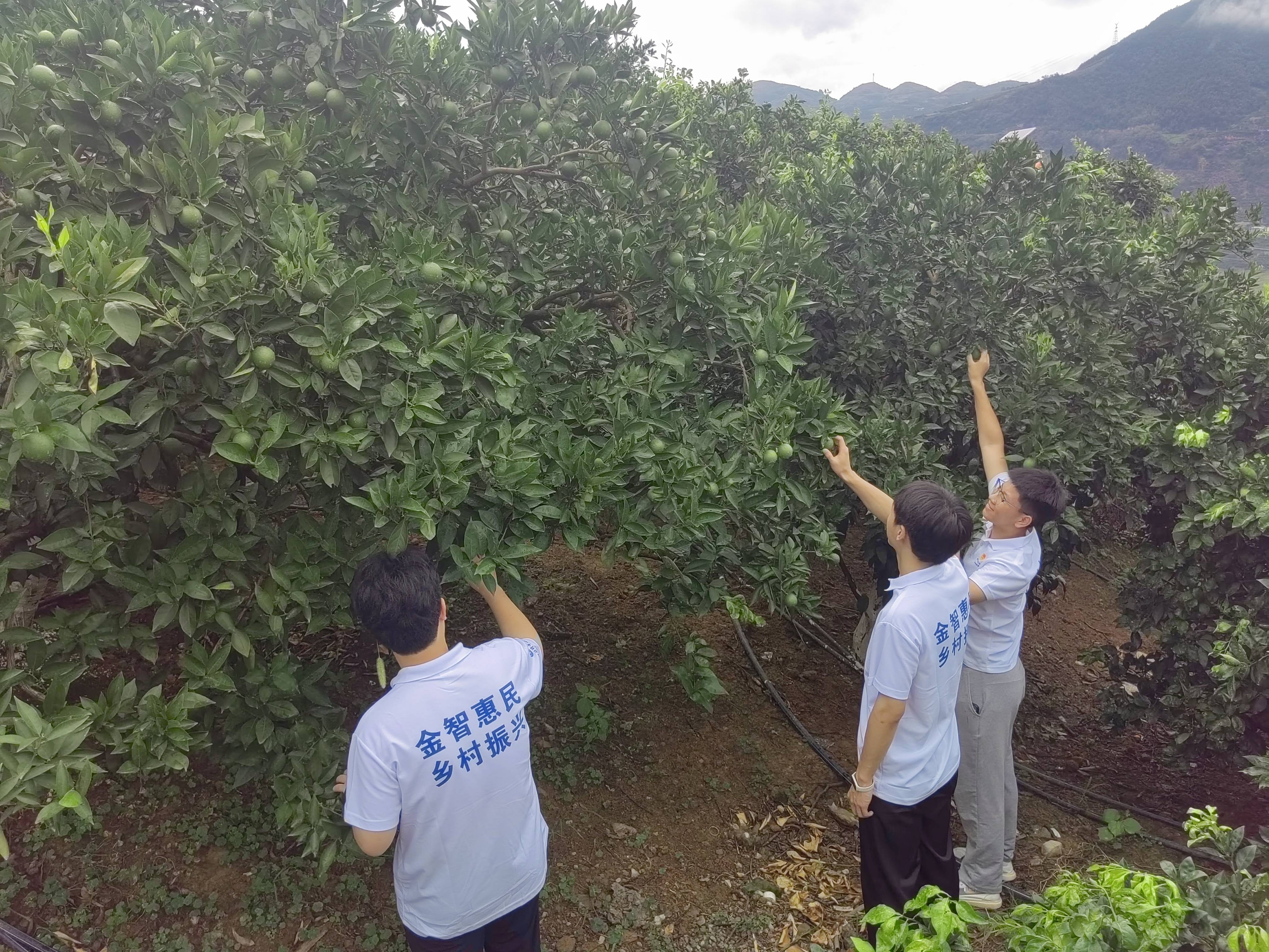 ���������ȷ棬�����������