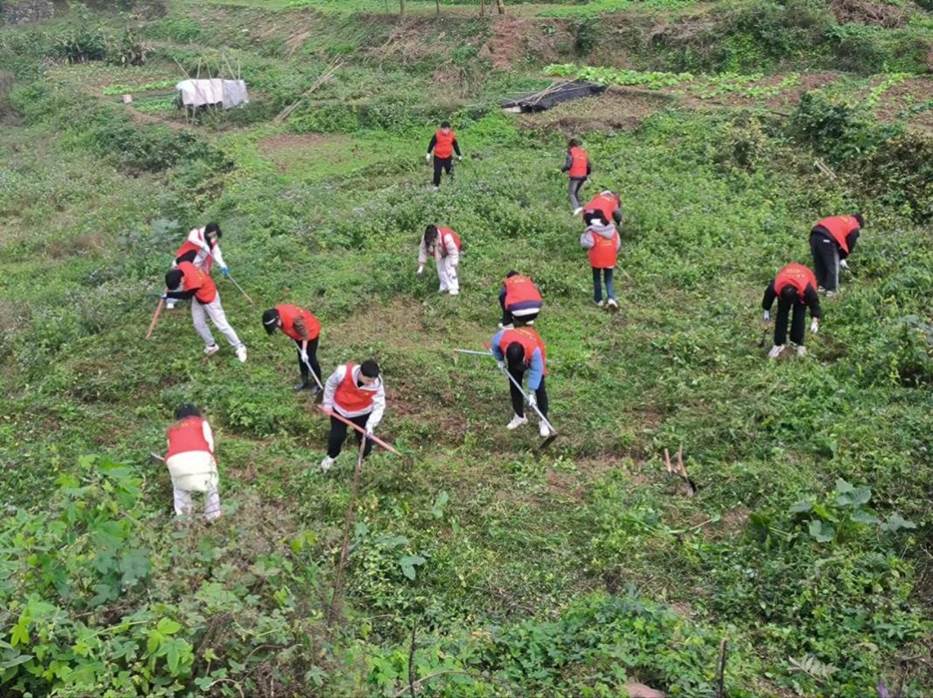 һȺС���ڲݵ����������Զ�����