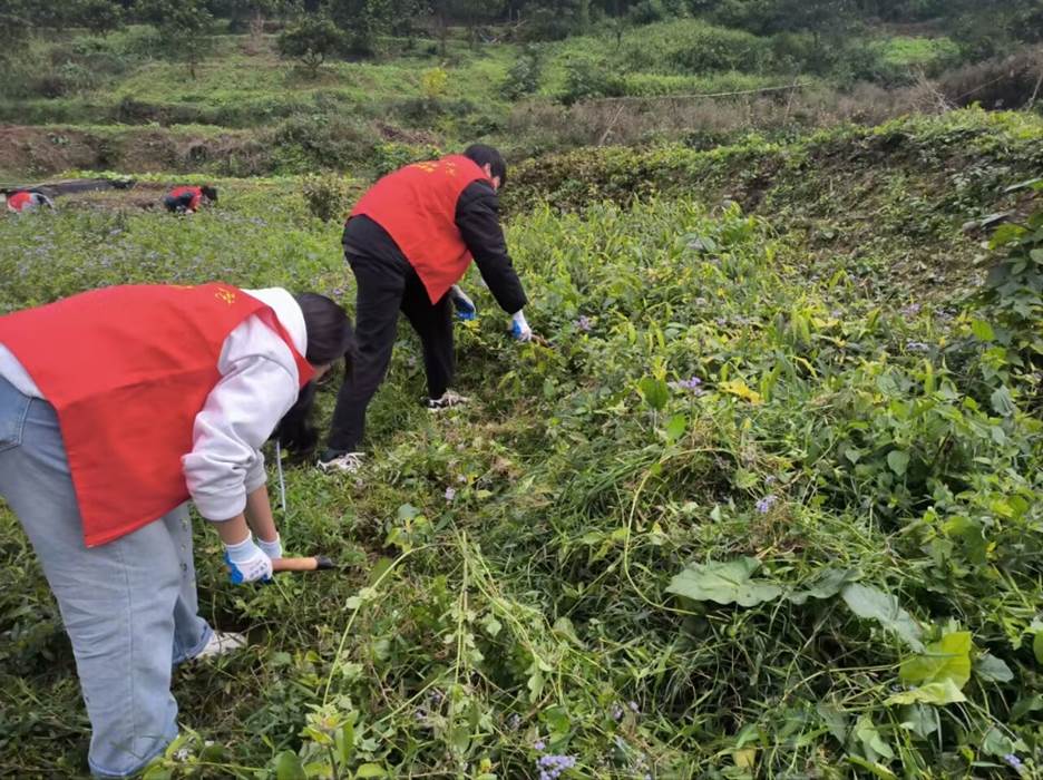 ����վ�ڲݵ����������Զ�����